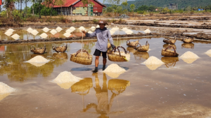 Lee más sobre el artículo Abril en Camboya